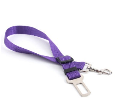 Fix Your Dog Carefullly With This Polyester Dog Strap
