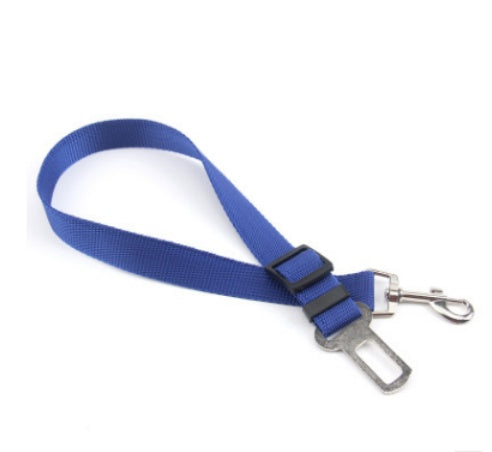 Fix Your Dog Carefullly With This Polyester Dog Strap