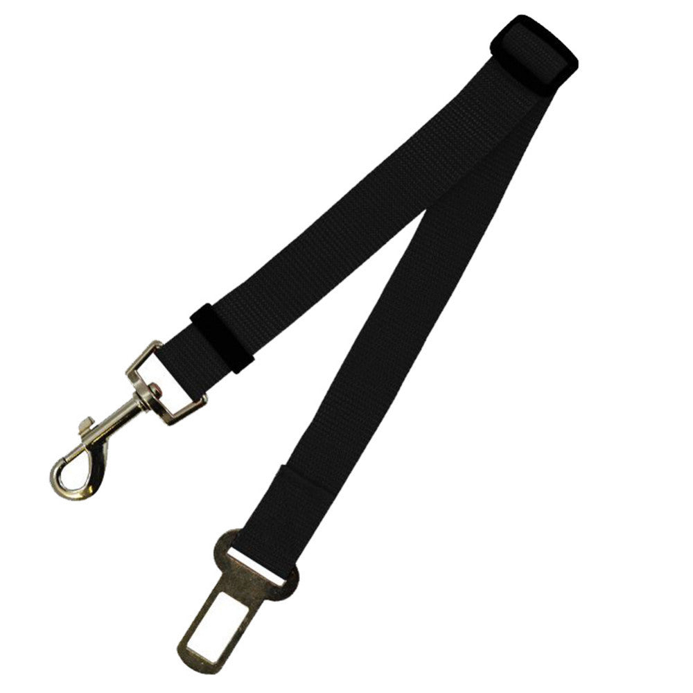 Fix Your Dog Carefullly With This Polyester Dog Strap