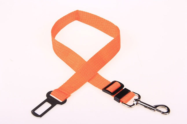 Fix Your Dog Carefullly With This Polyester Dog Strap