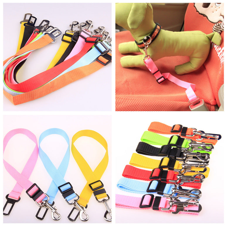 Fix Your Dog Carefullly With This Polyester Dog Strap