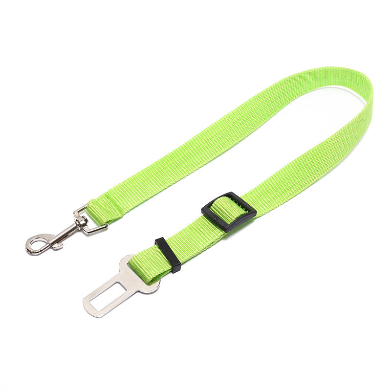 Fix Your Dog Carefullly With This Polyester Dog Strap