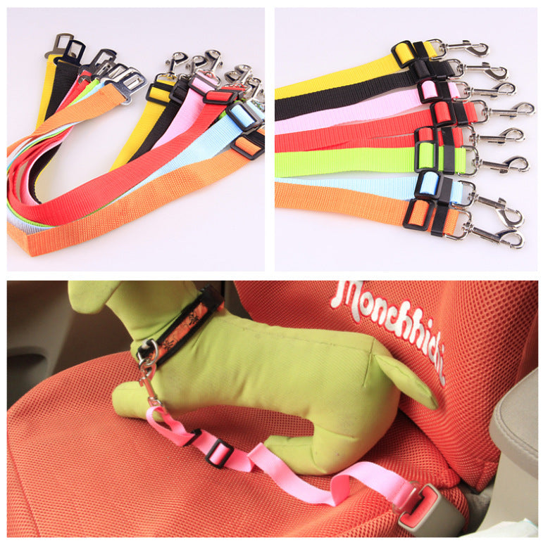 Fix Your Dog Carefullly With This Polyester Dog Strap