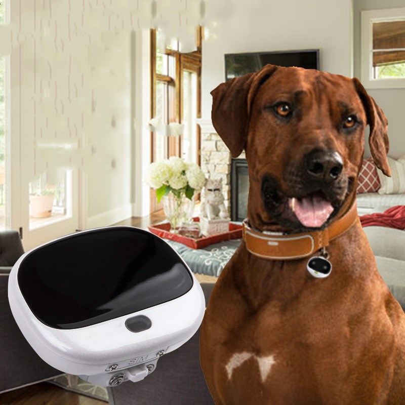 Mini Anti-Loss Tracker With LED Light Waterproof Collar For Pets