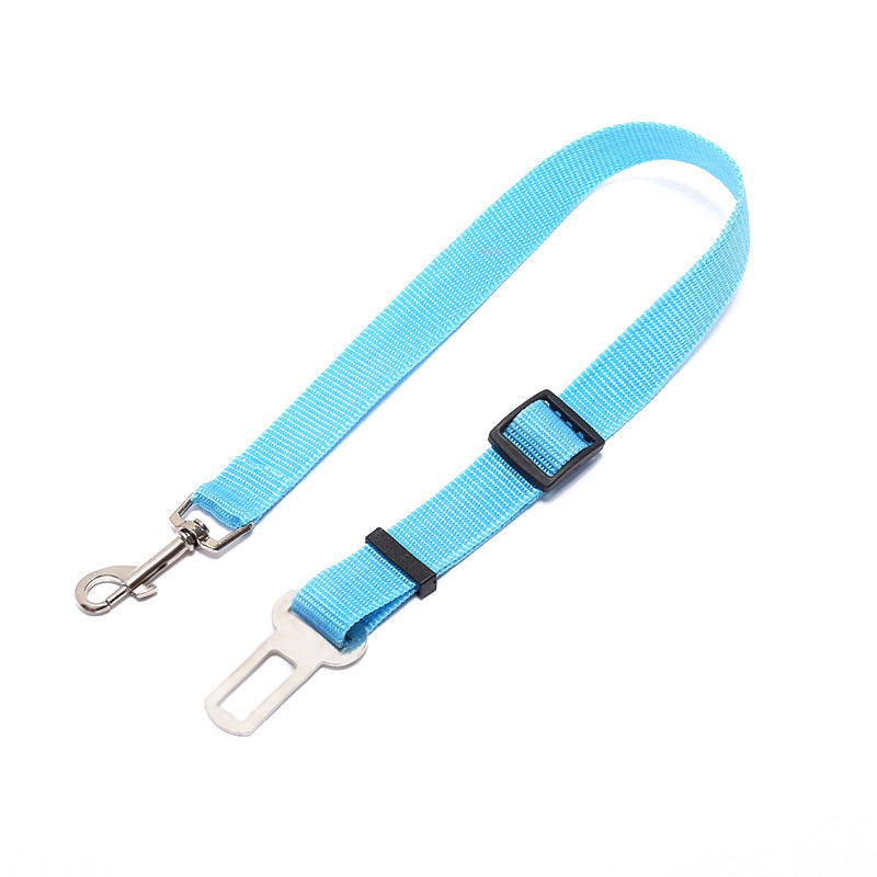 Fix Your Dog Carefullly With This Polyester Dog Strap