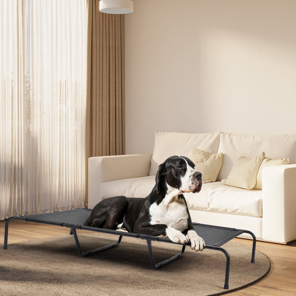 Pet Beds