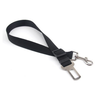 Fix Your Dog Carefullly With This Polyester Dog Strap