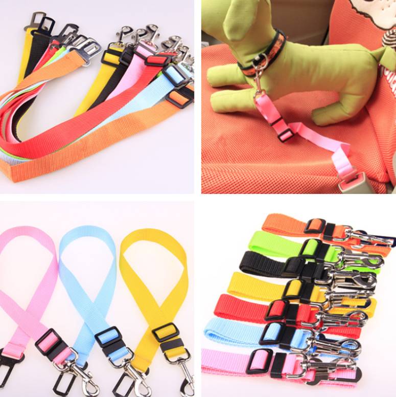 Fix Your Dog Carefullly With This Polyester Dog Strap